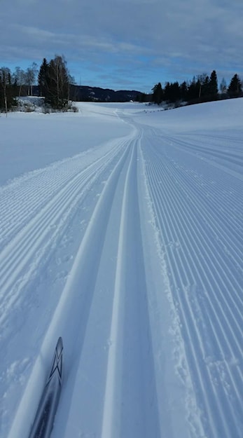 Skikort 2017